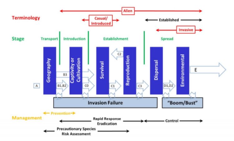 Framework overlay of scientific and management terminology describing stages of invasion from Kocovsky et al 2018.