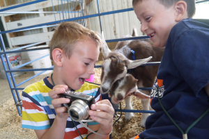 Explore Farm to School at Tollgate Education Farm Center