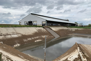 Liquid manure pit closure: guidelines for risk management