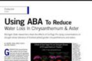 Using ABA to reduce water loss