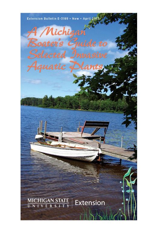MSU Extension publication designed to help boaters be watchful for certain aquatic invasive plants while out on the water.