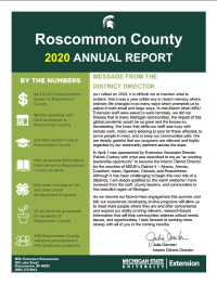Roscommon 2020 Annual Report Cover Photo