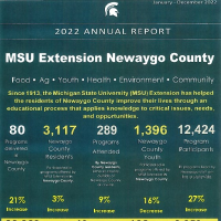 Snapshot report for Newaygo County 2022