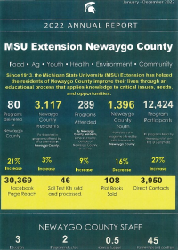 Snapshot report for Newaygo County 2022