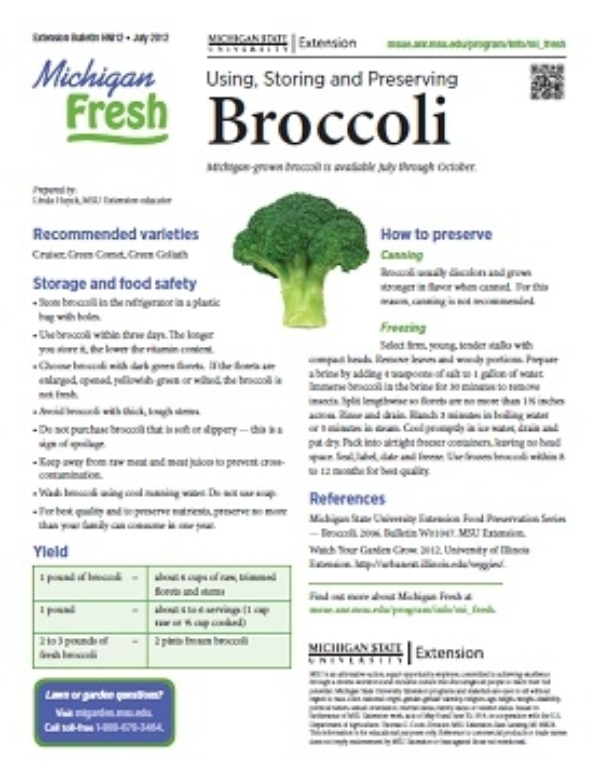 Michigan Fresh Using Storing And Preserving Broccoli Hni12