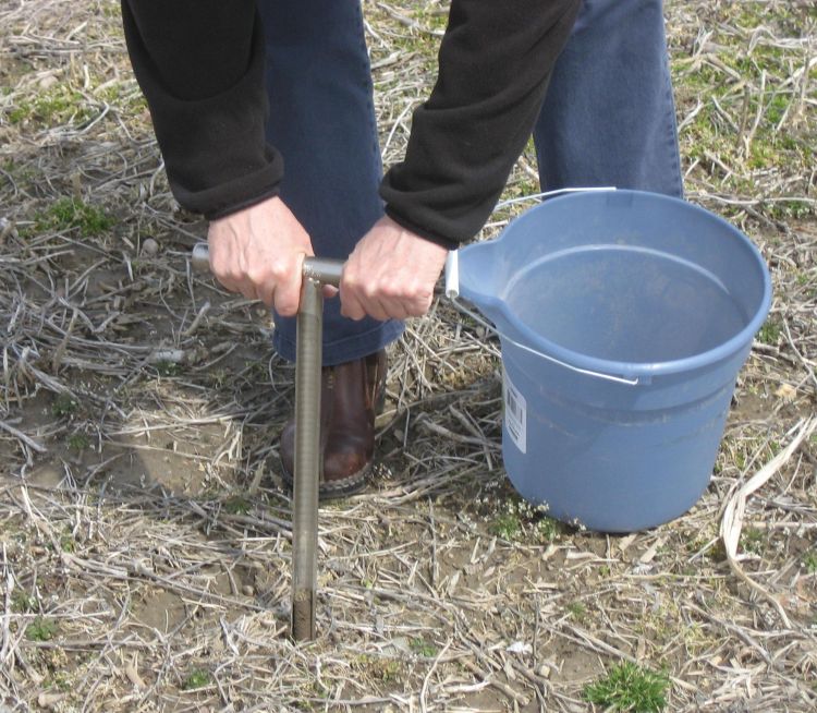 Use a soil sampling tube, shovel or trowel to collect soil.