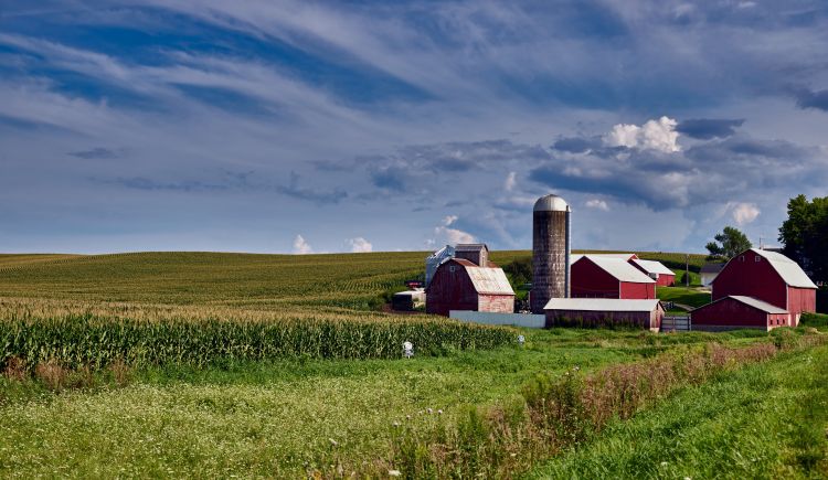 Farm scene