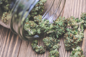 Legalization of Marijuana: Statewide Ballot Proposal White Paper