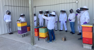 Getting Started with Beekeeping at Michigan Family Farms Conference