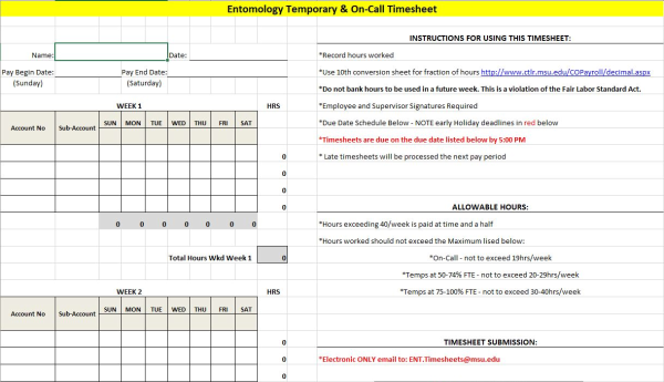 Screenshot of time sheet.