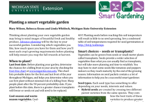 Planting a smart vegetable garden