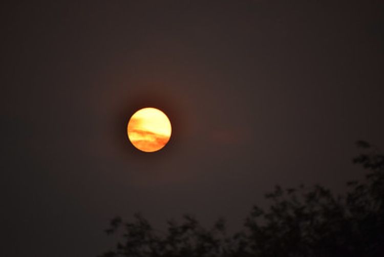 Sun obscured by wildfire Credit: MTSOFan on Flickr