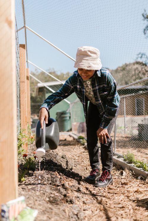 Youth watering a plant outside.