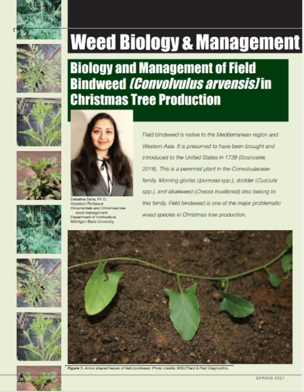 A photo of the first page of the resource.