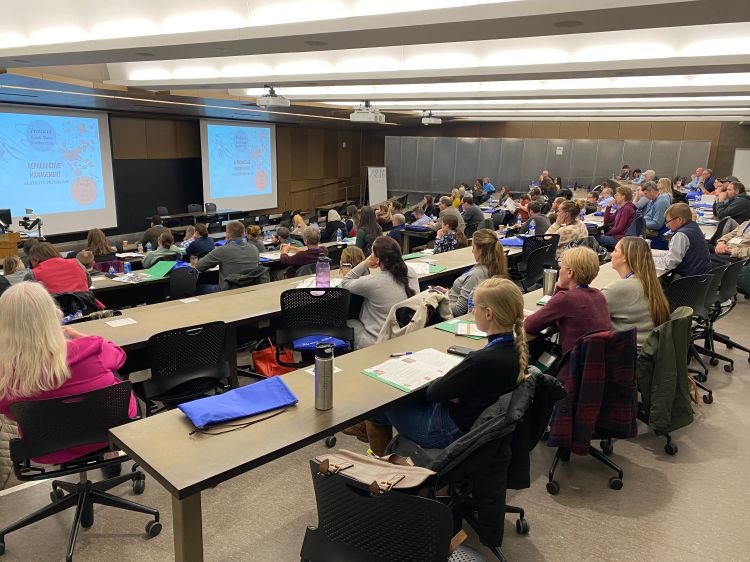 conference attendees looking at large screens in a classroom style setting