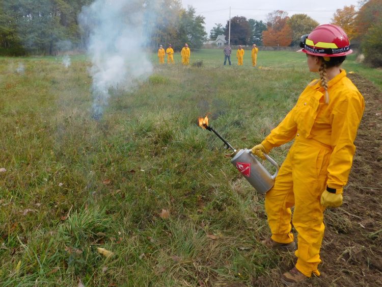 student in a field during a prescribed burn.