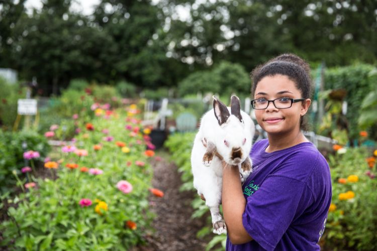 Girl with rabbit.