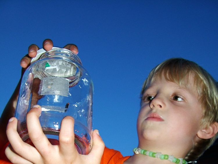 You and your kids can learn a lot about your favorite lightening bugs as you chase them during the summer. Next time you catch one, try doing a little observation to learn something about it.