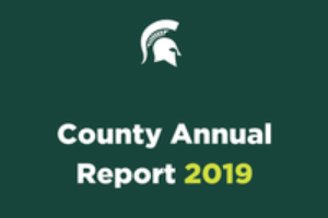 Tuscola County Annual Report: 2019
