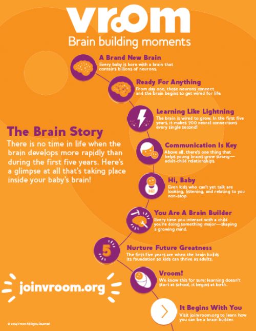 Resources To Build Your Child's Brain - Msu Extension