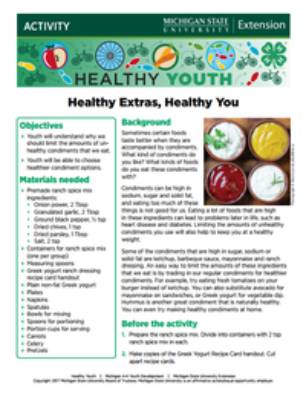 Healthy Youth Activities for 4-H Leaders and Clubs cover page