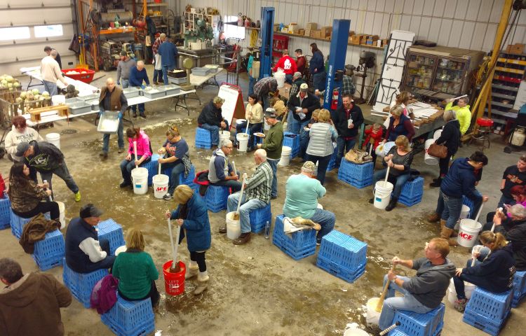 George VanHoutte's farm shop turns into a kraut-making floor.