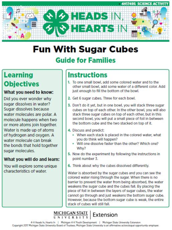 Fun With Sugar Cubes cover page.