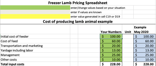 The excel document