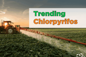 Trending – Chlorpyrifos