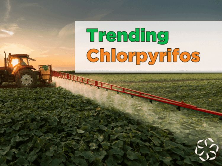 Trending – Chlorpyrifos - Center for Research on Ingredient Safety
