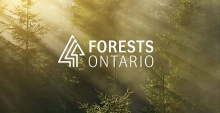 Forests Ontario logo