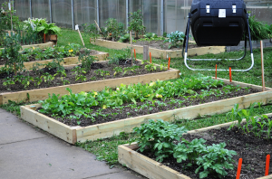 What are the physical and mental benefits of gardening?