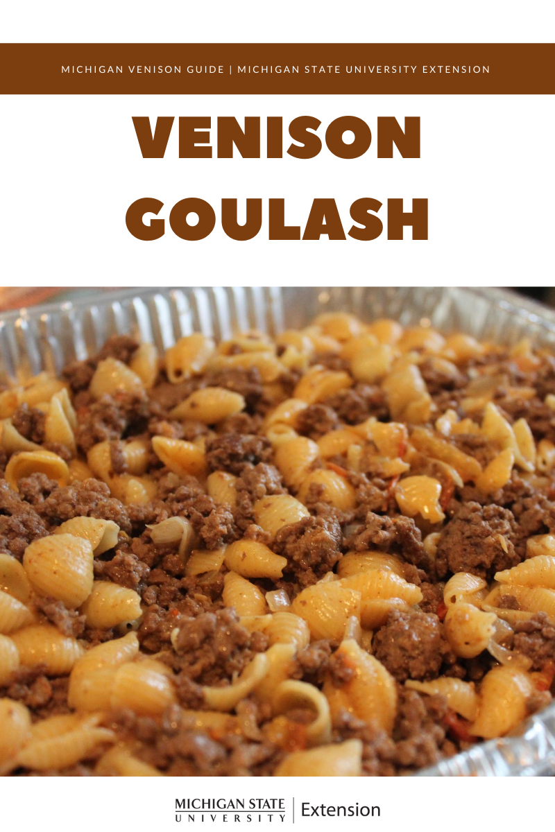 Image of the Venison Goulash