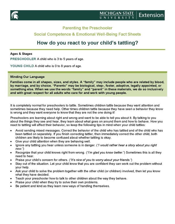 An image of the first page of the fact sheet.