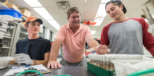 Entomologist Larry Gut honored with MSU’s Beal Outstanding Faculty Award