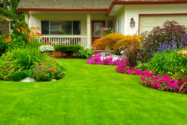 Benefits Of Plants Life As We Know It Live It And Pay For
