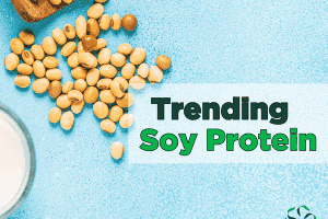 Trending – Soy Protein