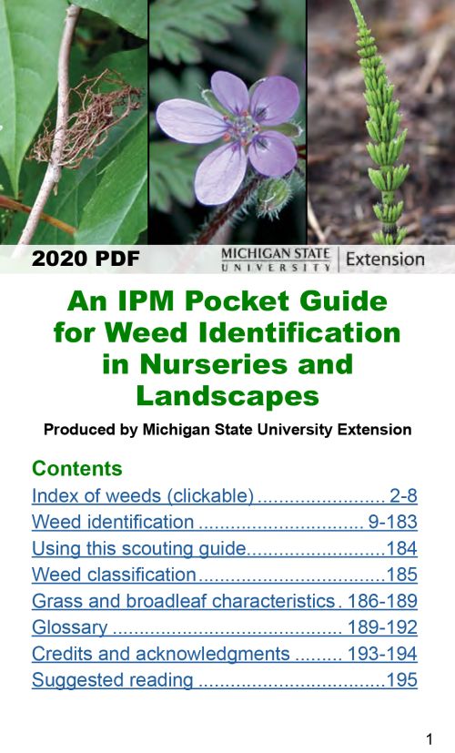 A mobilefriendly guide for weed identification in nurseries and