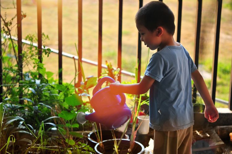 Young boy waters plants in containers