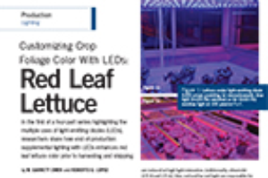 Customizing Crop Foliage Color With LEDs: Red Leaf Lettuce
