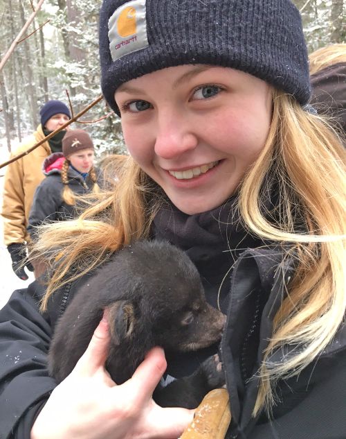 Hannah Peterson holding a bear cub during a den check for the DNR Predator–Prey Project. Photo by Jason Peterson.