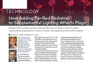 How Adding Far - Red Radiation to Supplemental Lighting Affects Plugs