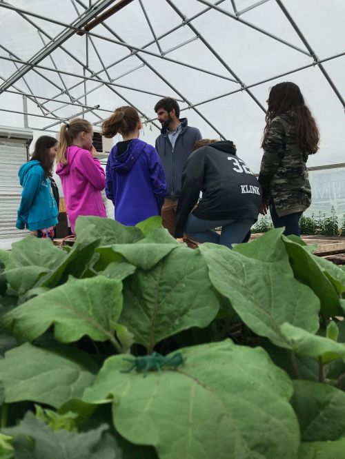 Children in a greenhouse.