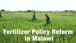 Fertilizer Policy Reform in Malawi