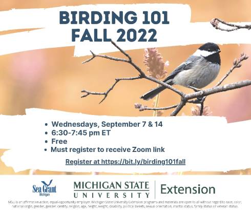 Flyer describes the Birding 101 class. All information is included in the text of this event notice.