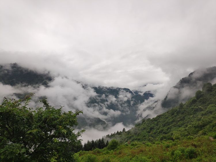 Wolong Nature Reserve alpine landscape