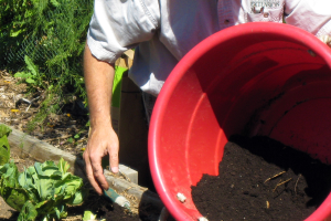 Smart gardens begin with healthy soil