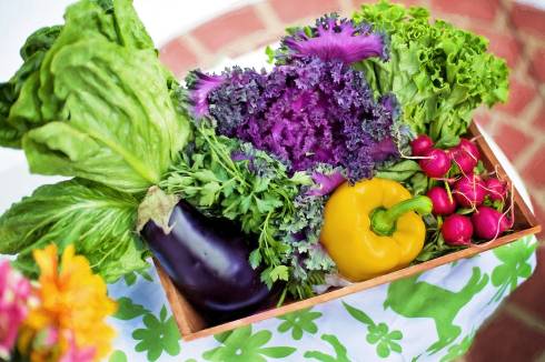 Fresh Vegetables in a basket