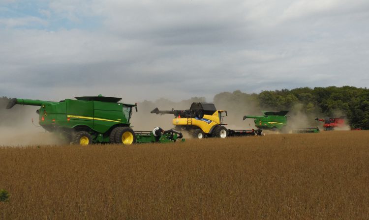 Combines in soybean field