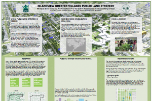 Detroit Islandview Executive Summary and Poster